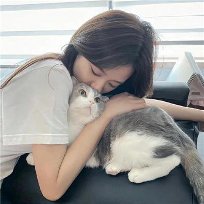 漫画爆高墙